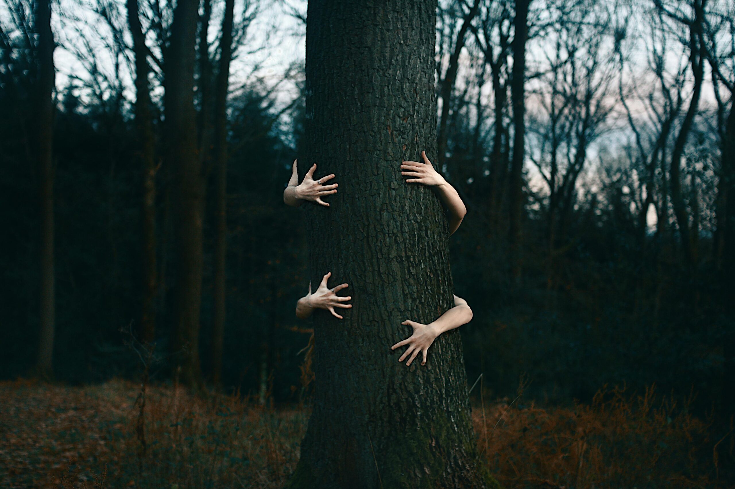 Forest Therapy